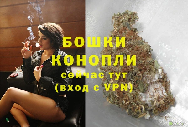 первитин Коряжма