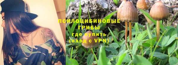 первитин Коряжма