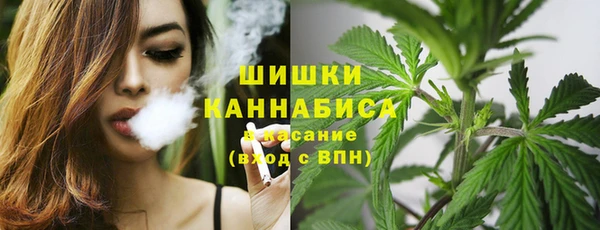 первитин Коряжма