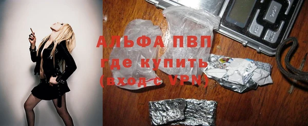 spice Корсаков