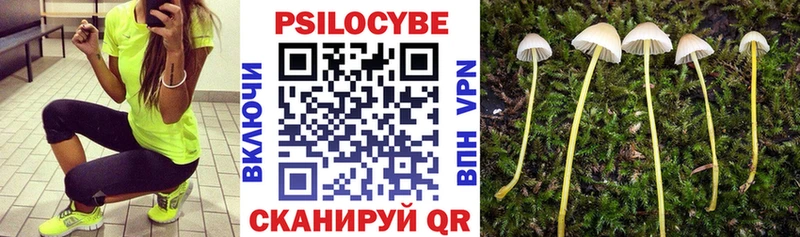купить наркотики сайты  MEGA tor  Псилоцибиновые грибы прущие грибы  Эртиль 